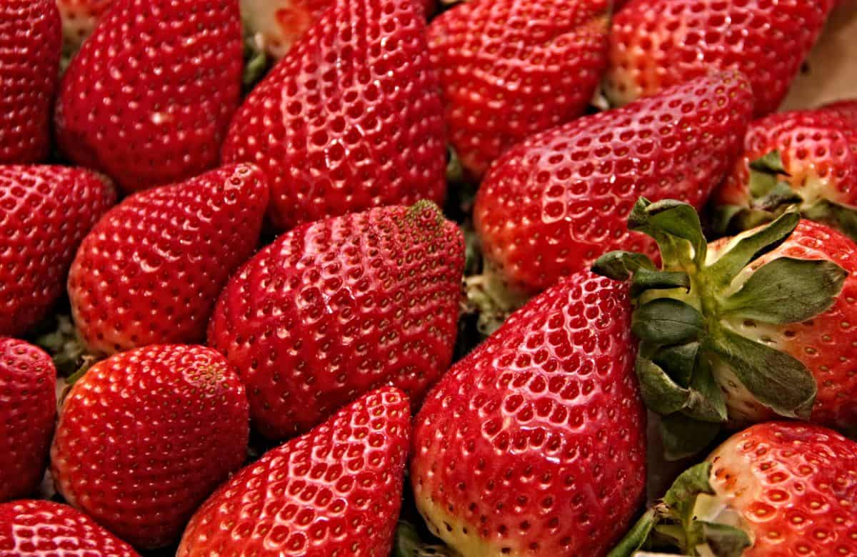 fresas