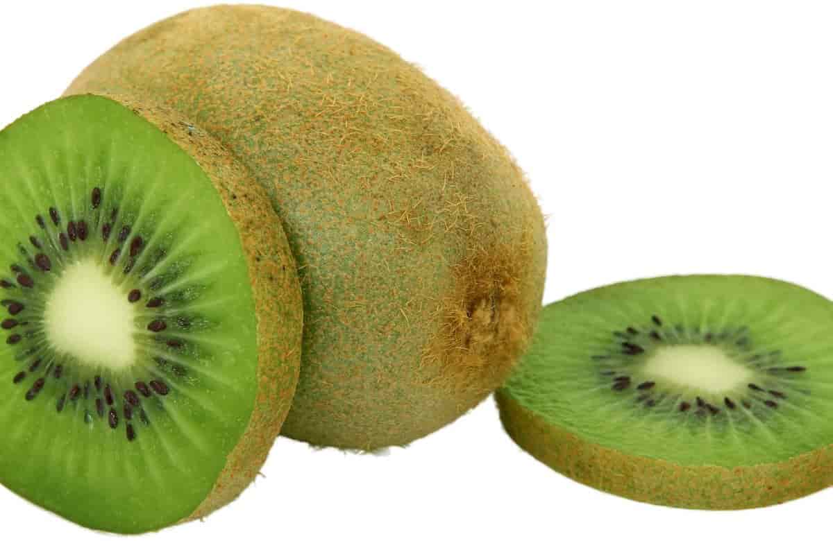 kiwi