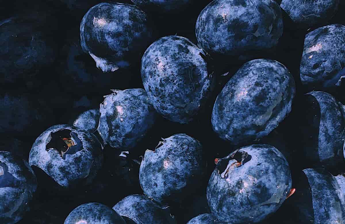 Arandanos