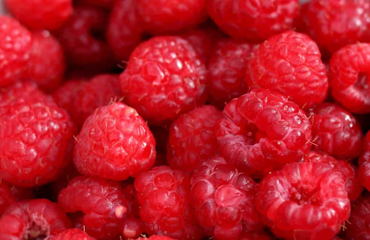 frambuesas
