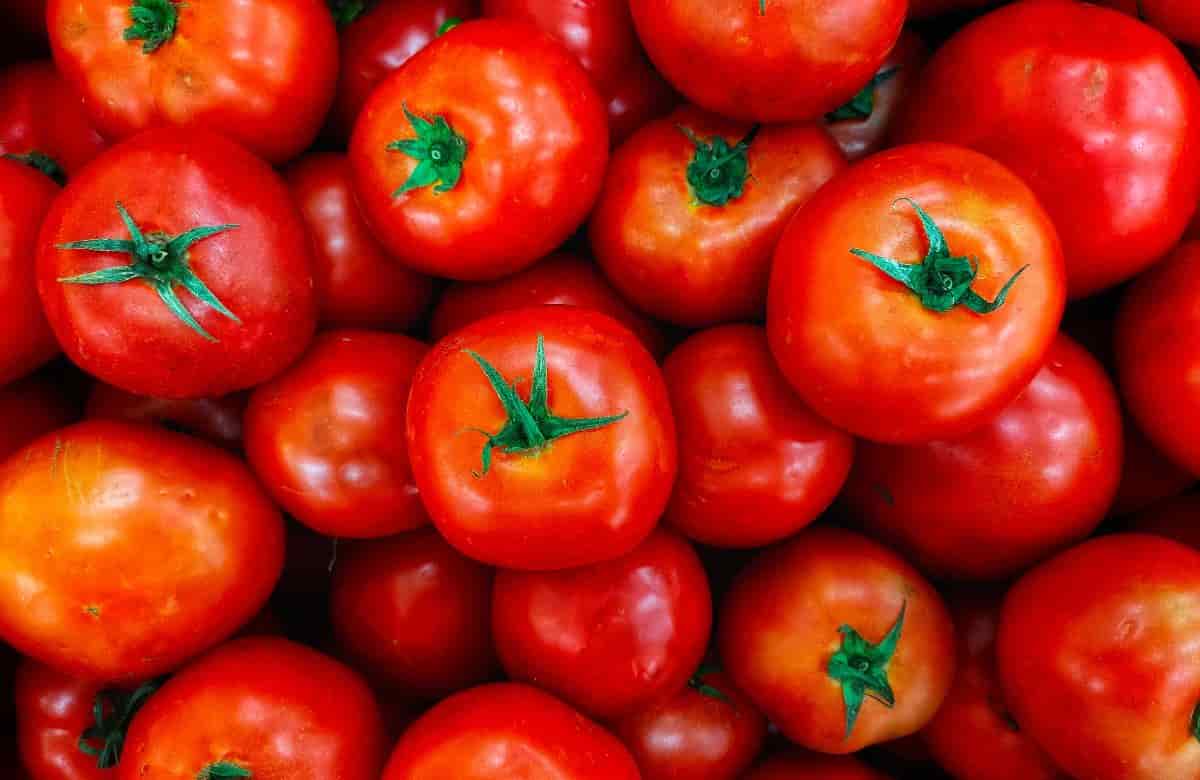 Tomate