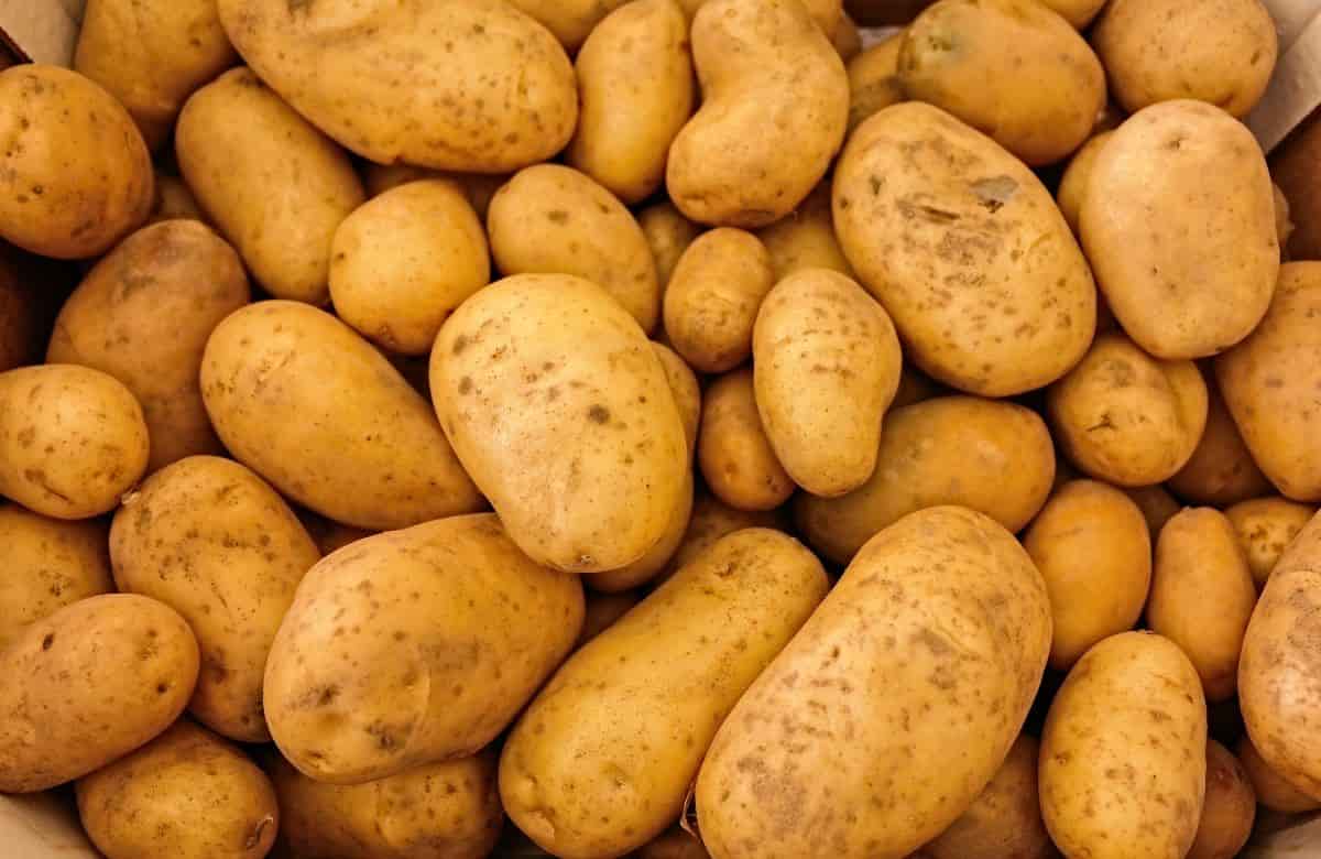 Patatas