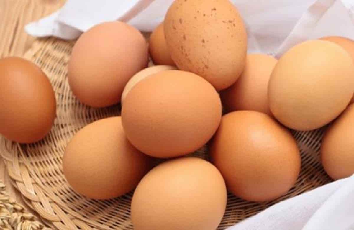 Huevos